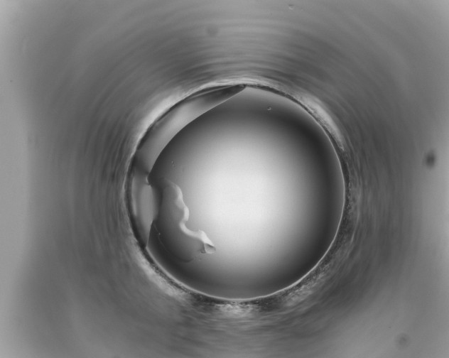 X0000092000805200709131513