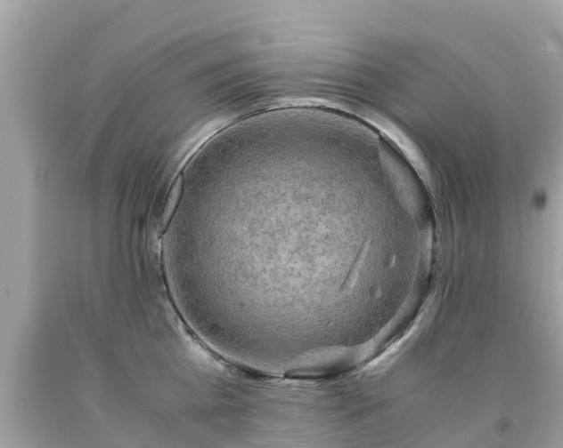 X0000092000809200709131513