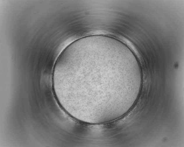 X0000092000810200709131513