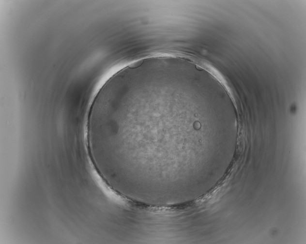 X0000092000811200709131513