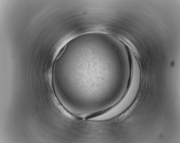 X0000092000812200709131513