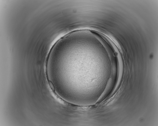 X0000092000813200709131513