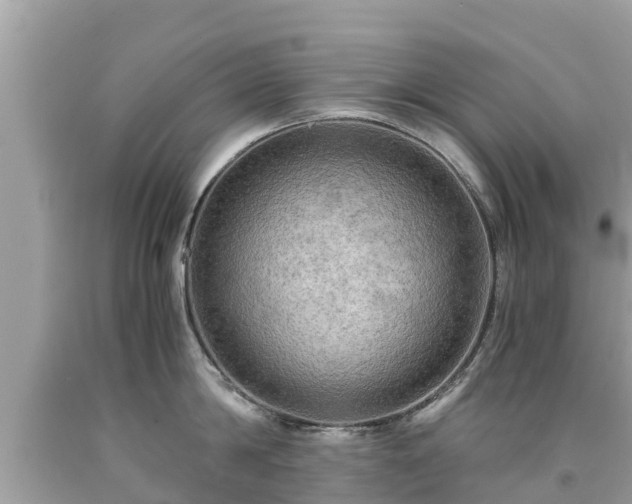 X0000092000814200709131513