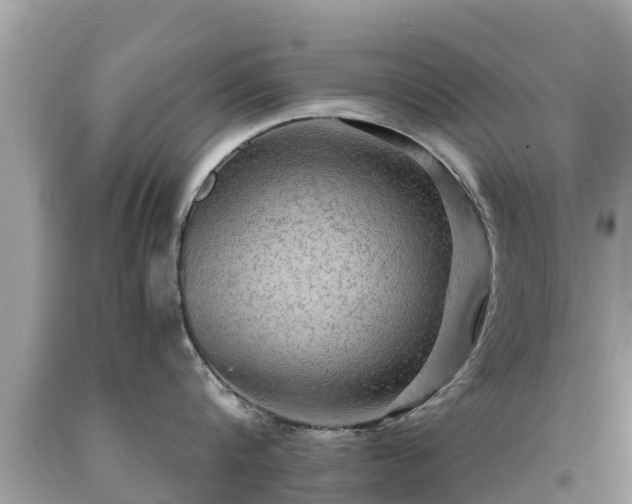 X0000092000816200709131513