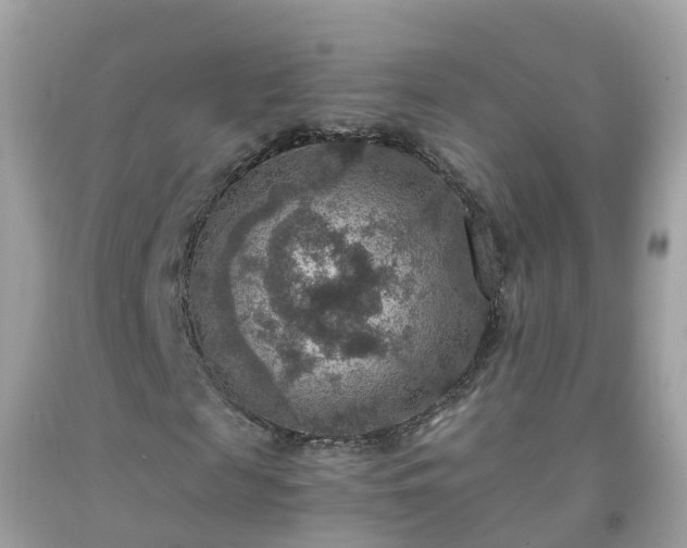 X0000092000817200709131512