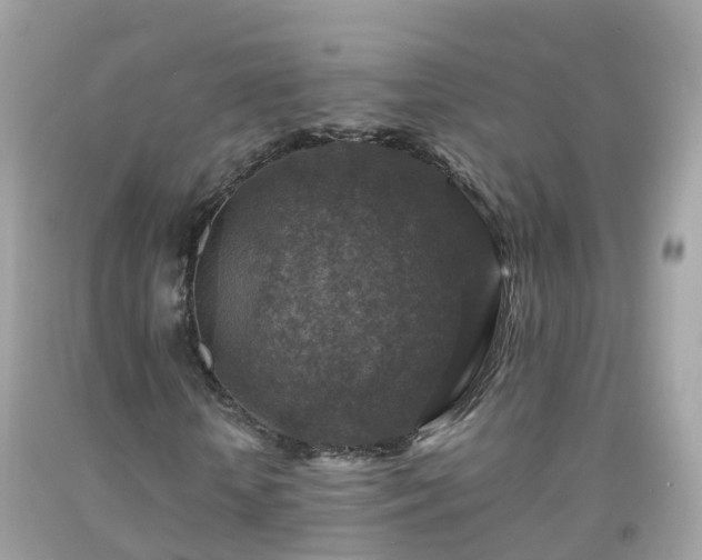 X0000092000818200709131512