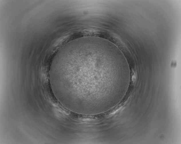 X0000092000819200709131512