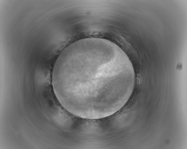 X0000092000820200709131512