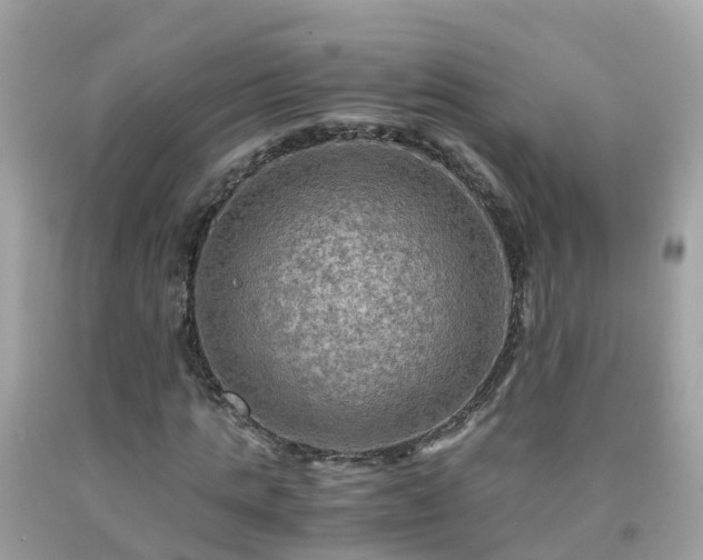 X0000092000821200709131512