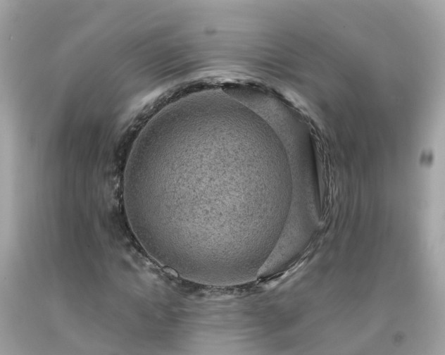 X0000092000822200709131512