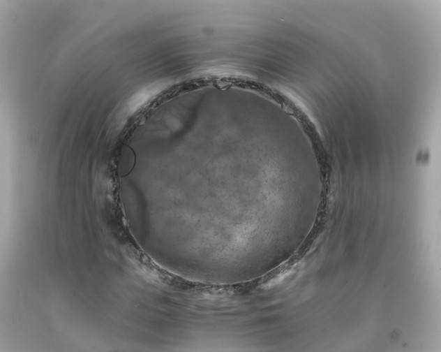 X0000092000823200709131512