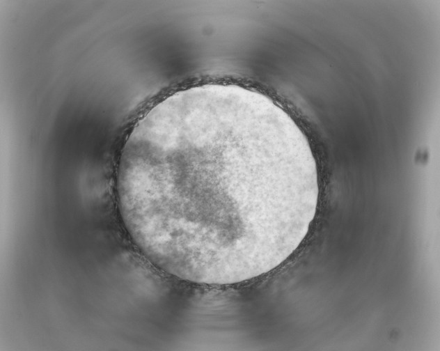 X0000092000824200709131512