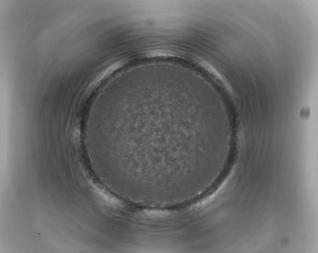 X0000092000825200709131512