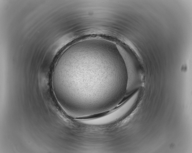 X0000092000826200709131512