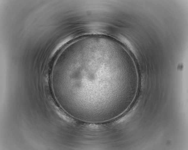 X0000092000827200709131512