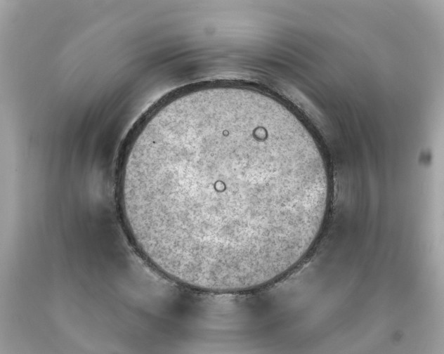 X0000092000828200709131512