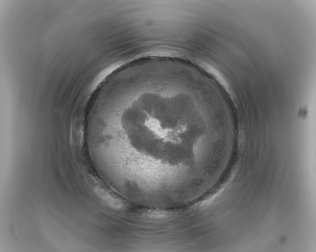 X0000092000829200709131512