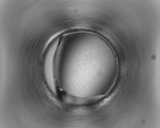 X0000092000830200709131512