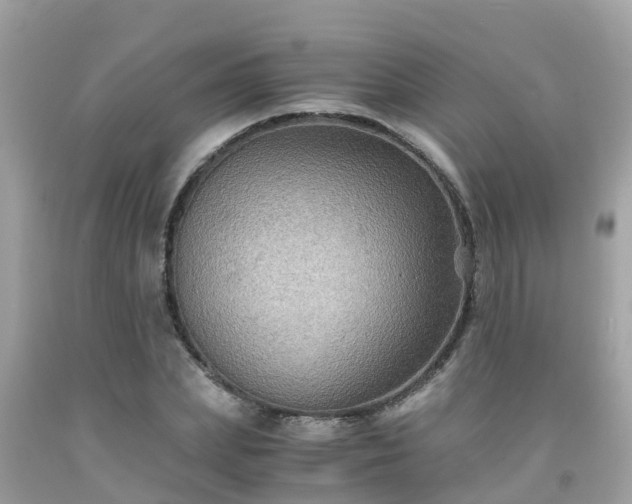 X0000092000831200709131512