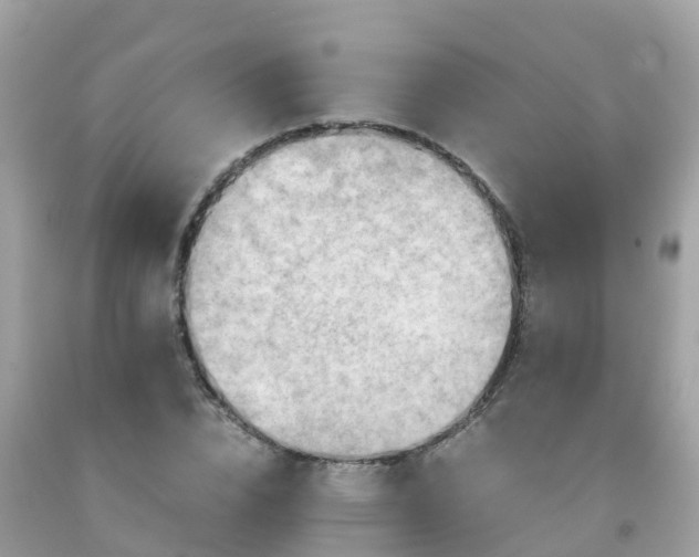 X0000092000832200709131512