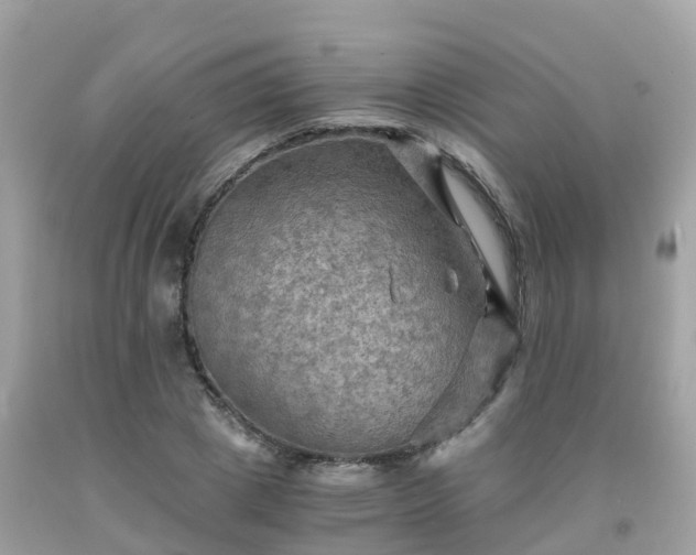 X0000092000833200709131512