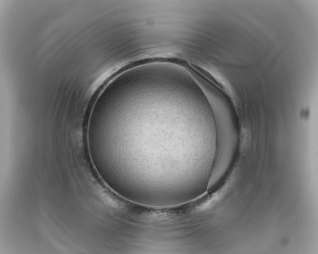 X0000092000834200709131512