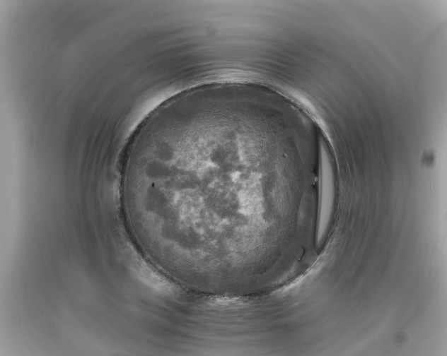 X0000092000835200709131512