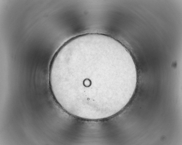 X0000092000836200709131512