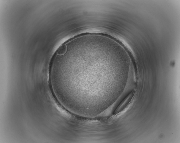 X0000092000837200709131512