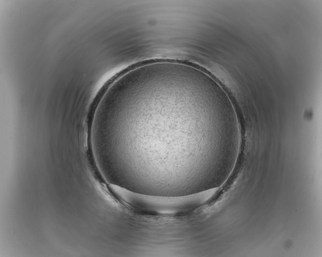 X0000092000838200709131512