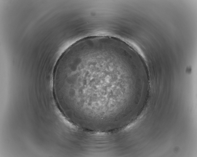 X0000092000839200709131512