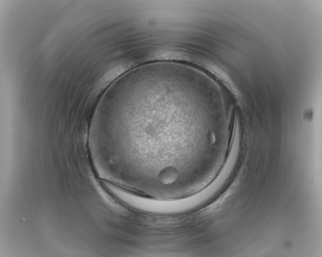 X0000092000841200709131512