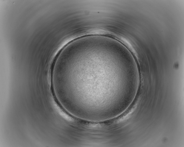 X0000092000843200709131512