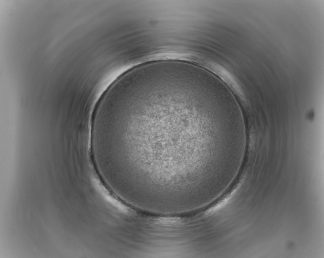 X0000092000844200709131512