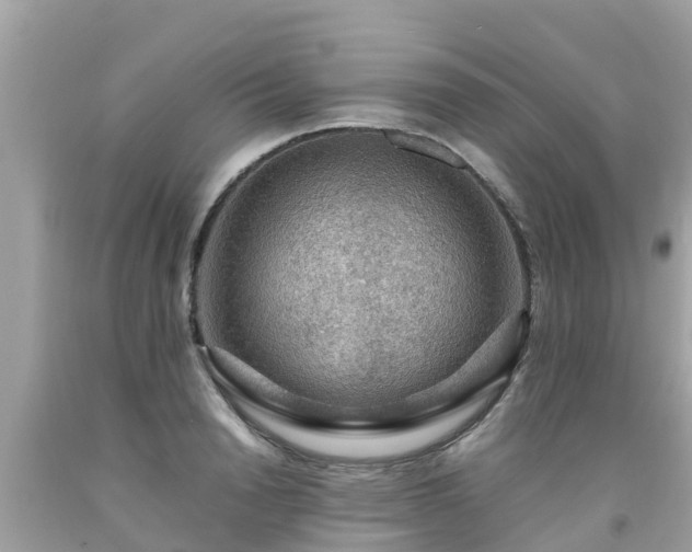 X0000092000846200709131513