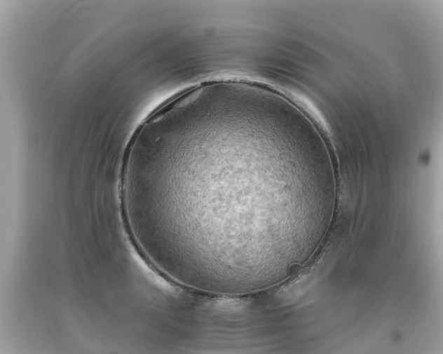 X0000092000847200709131513