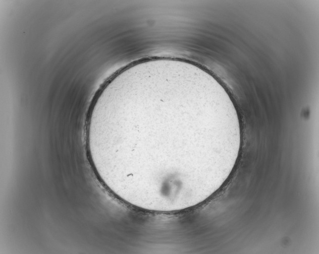 X0000092000848200709131513