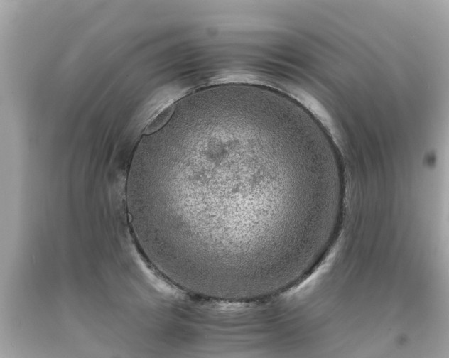 X0000092000849200709131513