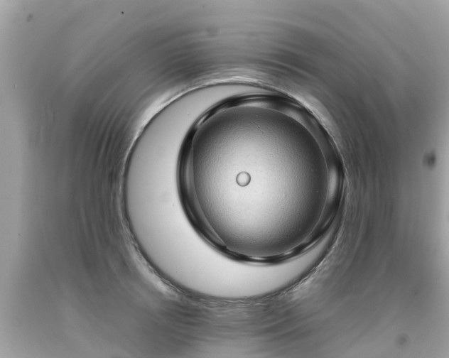 X0000092000850200709131513