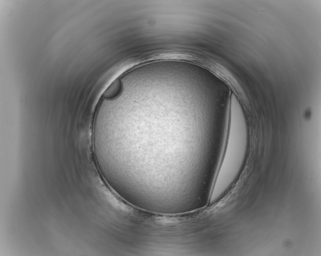 X0000092000852200709131513