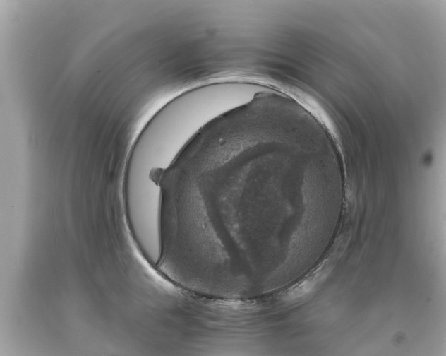 X0000092000855200709131513