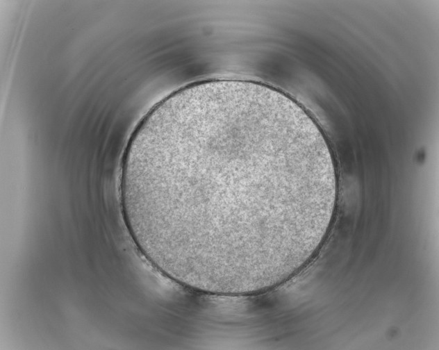 X0000092000856200709131513