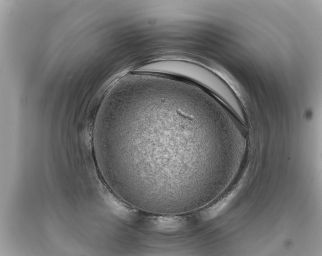 X0000092000857200709131513