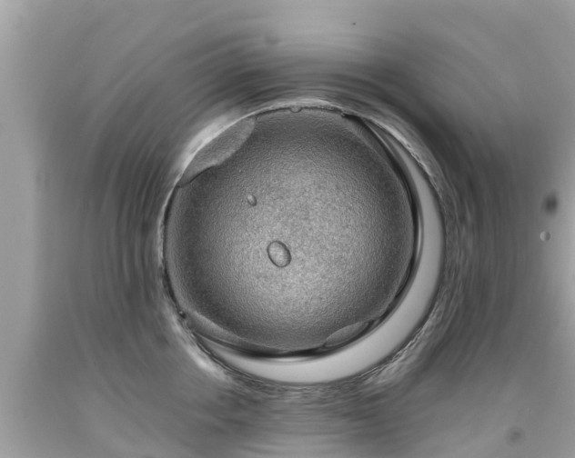 X0000092000858200709131513