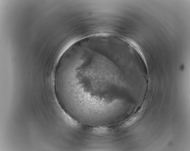 X0000092000859200709131513