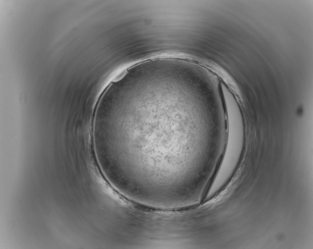 X0000092000860200709131513