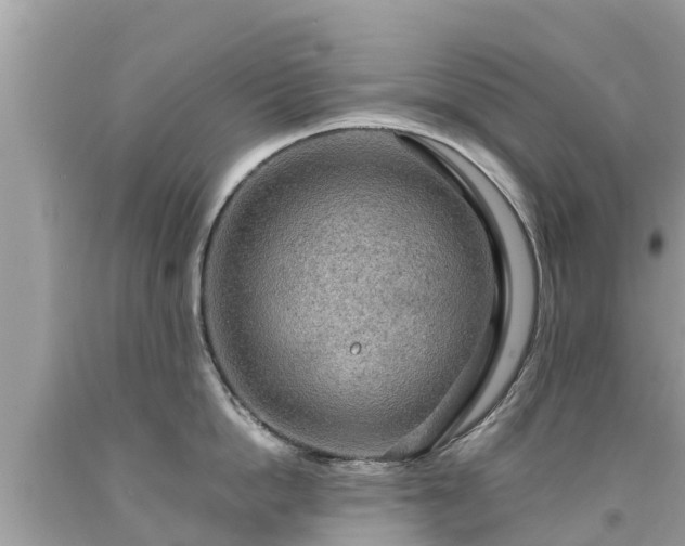 X0000092000862200709131513