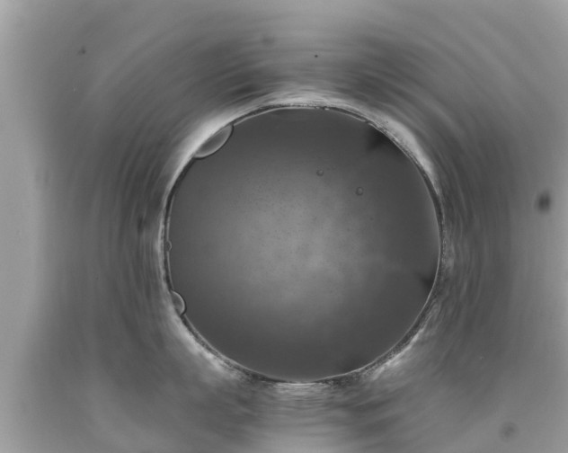 X0000092000863200709131513