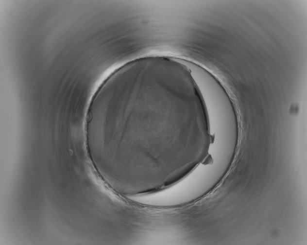 X0000092000864200709131513