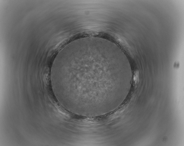 X0000092000867200709131512